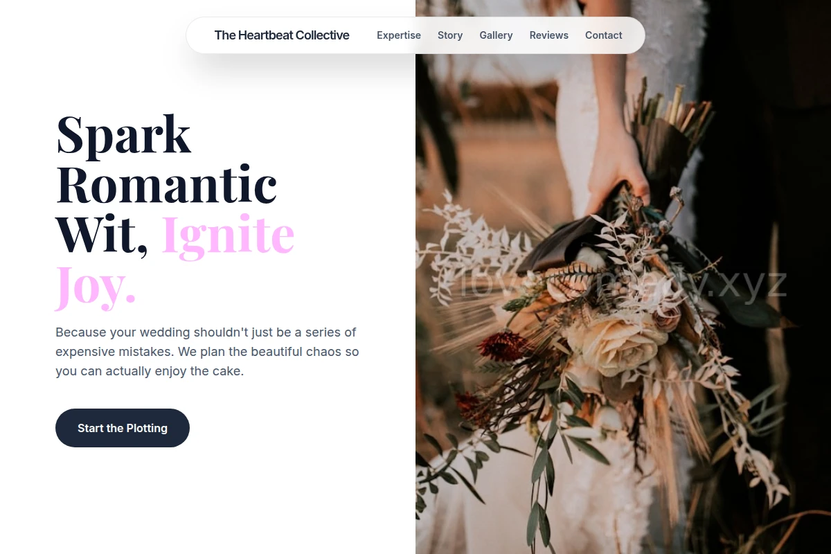 Satire Wedding Planner
