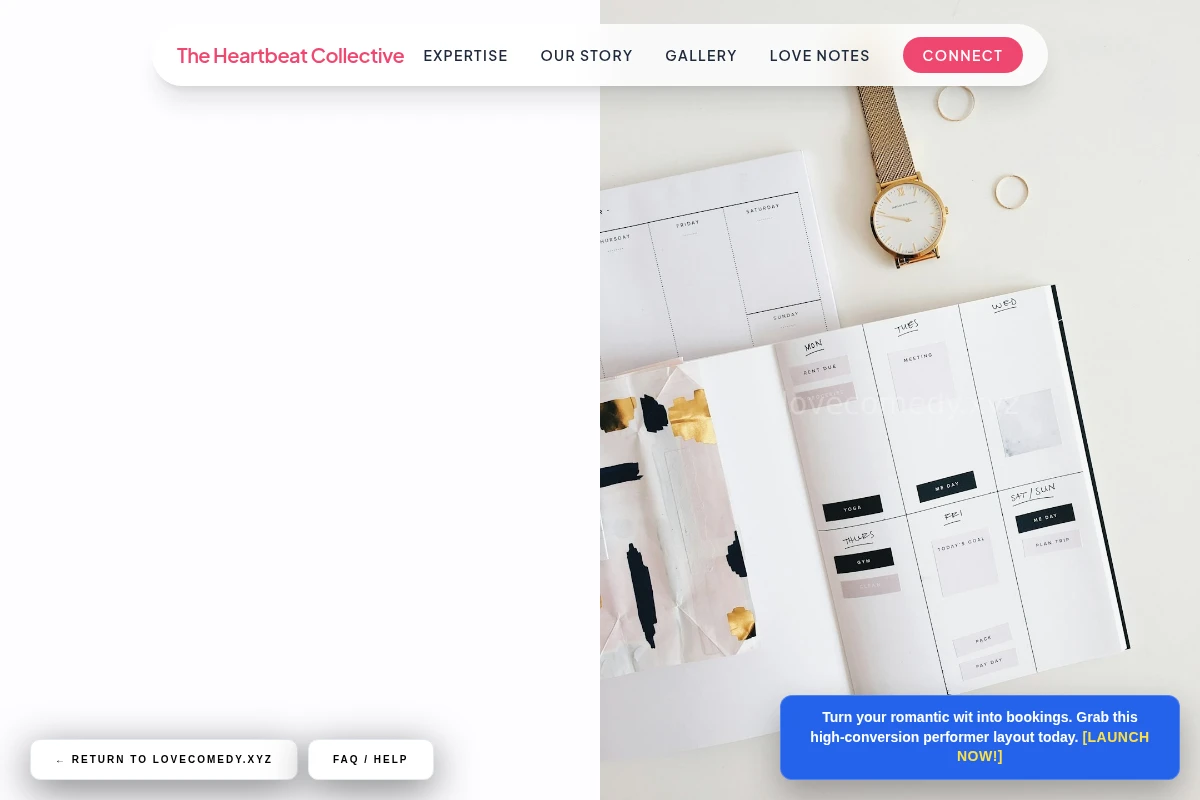 Spotlight Wedding Planner